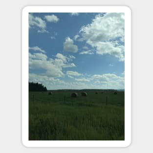 Rolls of Hay near Canadian & USA Border Sticker